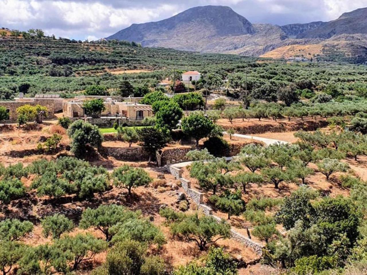 Petrakis Cretan Homes 키사모스 외부 사진