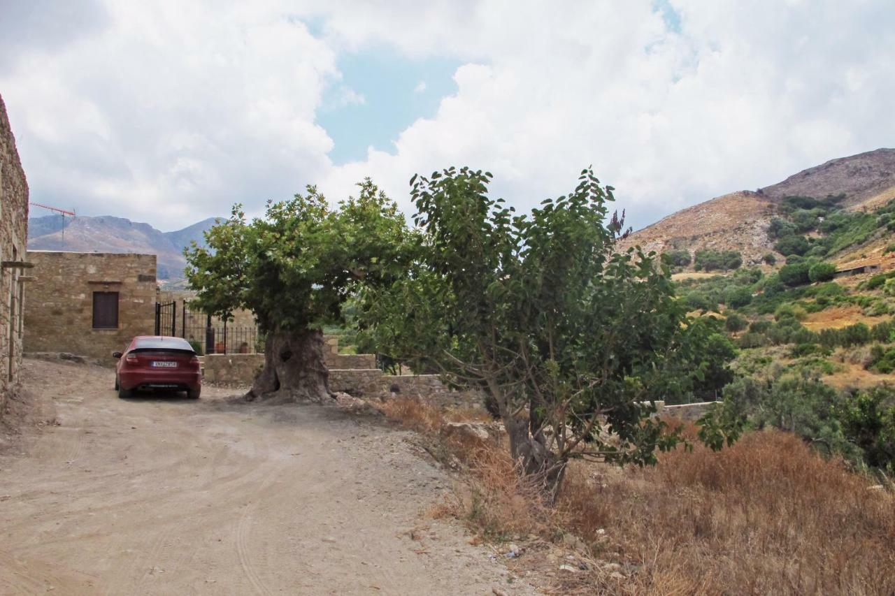 Petrakis Cretan Homes 키사모스 외부 사진