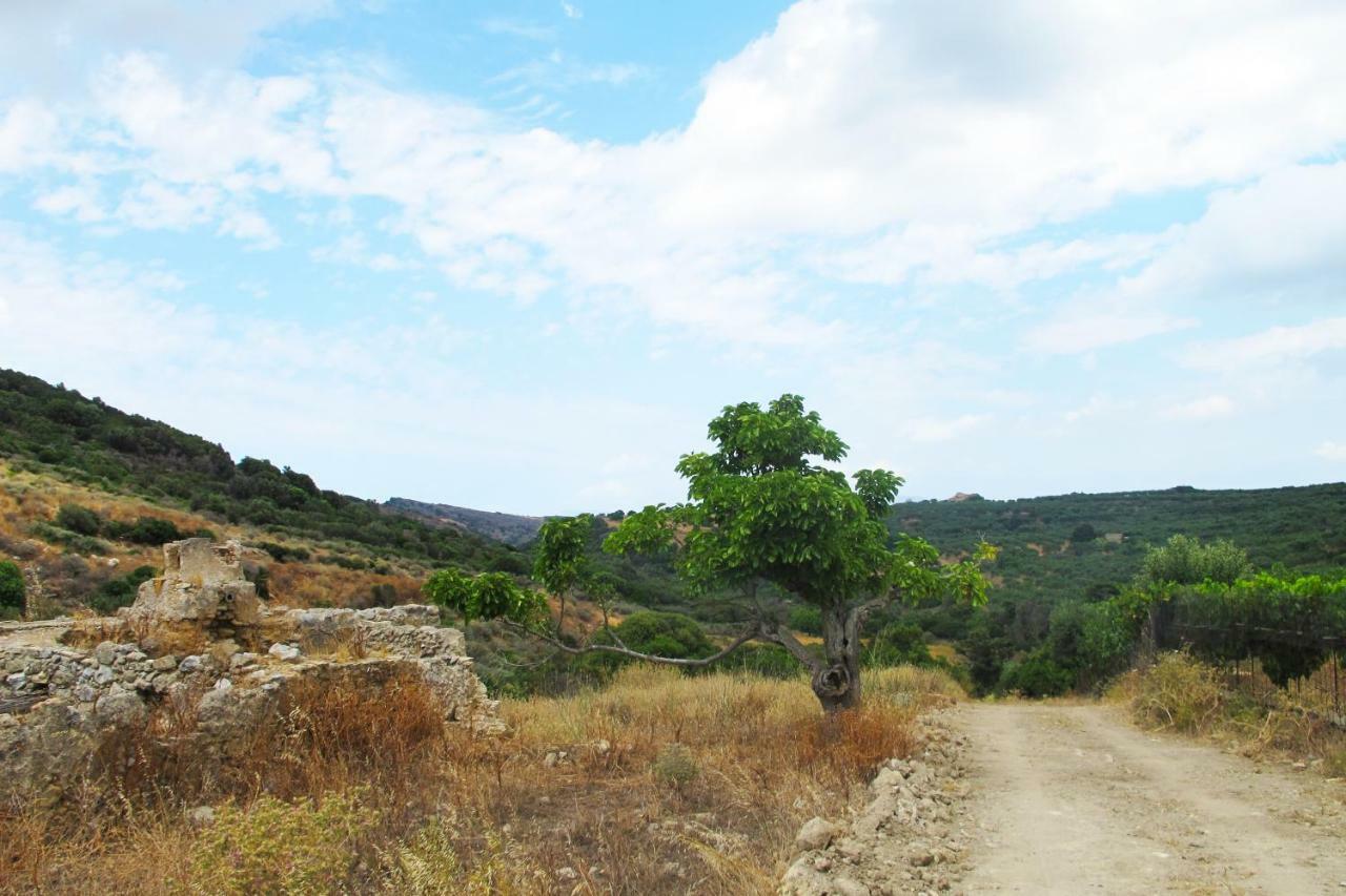Petrakis Cretan Homes 키사모스 외부 사진