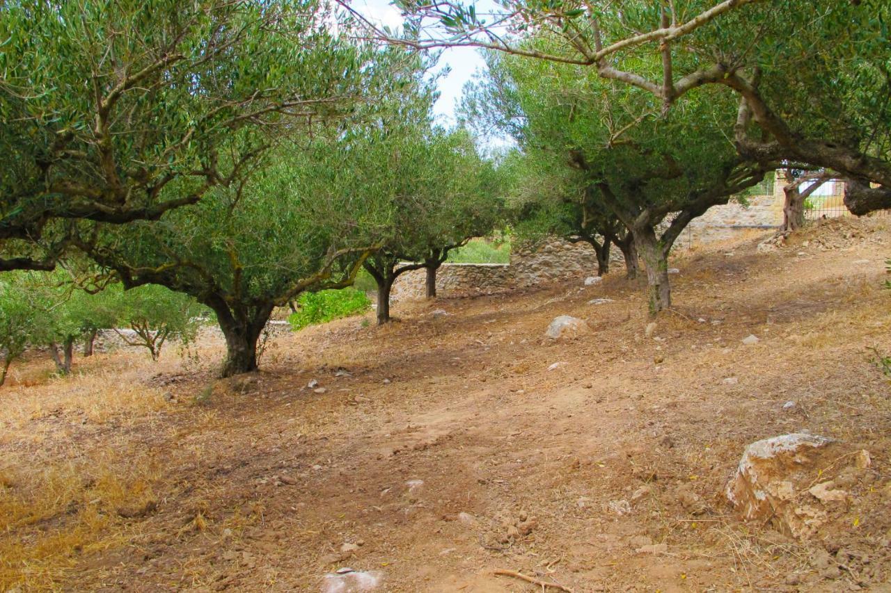 Petrakis Cretan Homes 키사모스 외부 사진