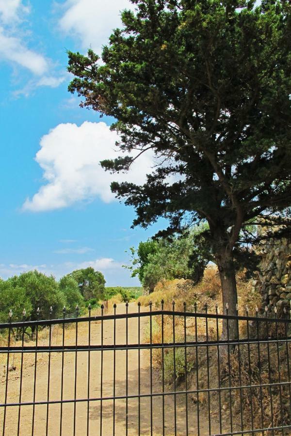 Petrakis Cretan Homes 키사모스 외부 사진